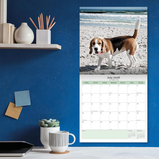Baker & Bray Beagle Kalender 2026