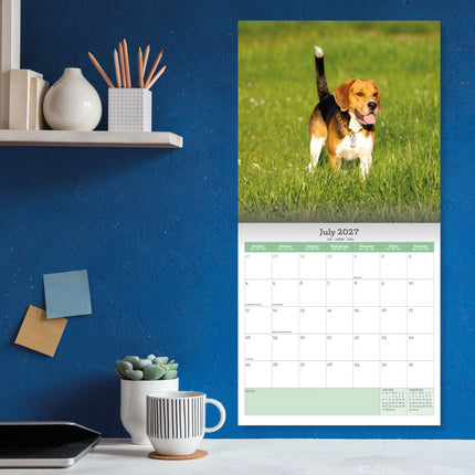 Baker & Bray Beagle Kalender 2027