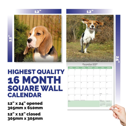 Baker & Bray Beagle Kalender 2027