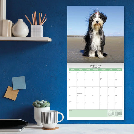 Baker & Bray Bearded Collie Kalender 2027
