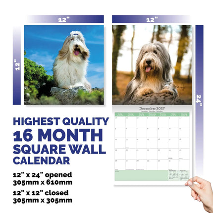 Baker & Bray Bearded Collie Kalender 2027