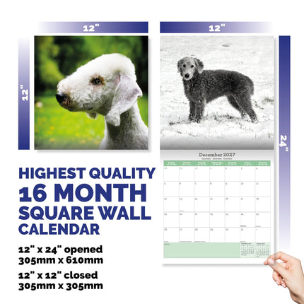 Baker & Bray Bedlington Terrier Kalender 2027