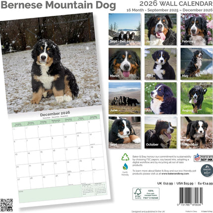 Baker & Bray Berner Sennen Kalender 2026