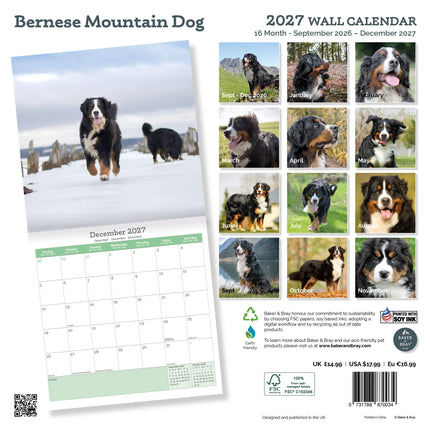 Baker & Bray Berner Sennen Kalender 2027