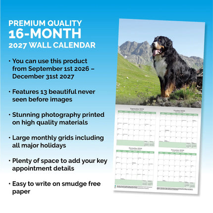 Baker & Bray Berner Sennen Kalender 2027