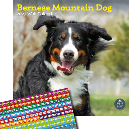 Baker & Bray Berner Sennen Kalender 2027