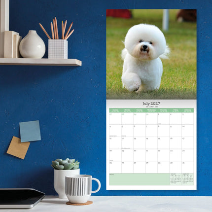 Baker & Bray Bichon Frise Kalender 2027