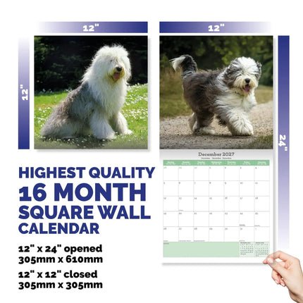 Baker & Bray Bobtail / Old English Sheepdog Kalender 2027