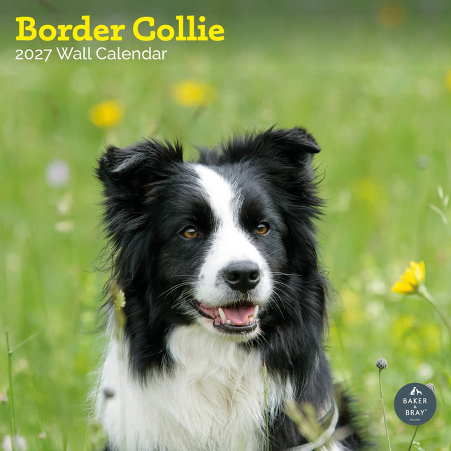 Baker & Bray Border Collie Kalender 2027