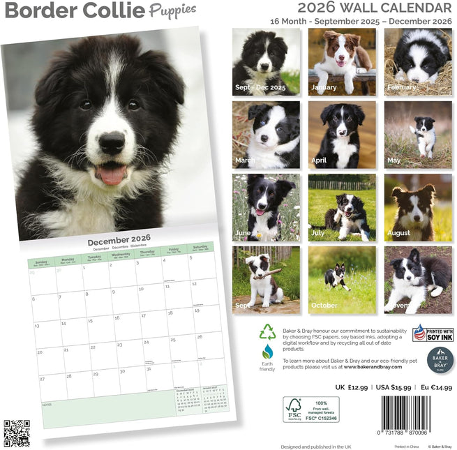 Baker & Bray Border Collie Puppies Kalender 2026