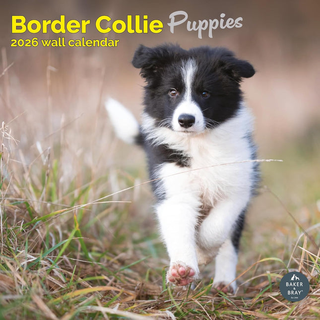 Baker & Bray Border Collie Puppies Kalender 2026