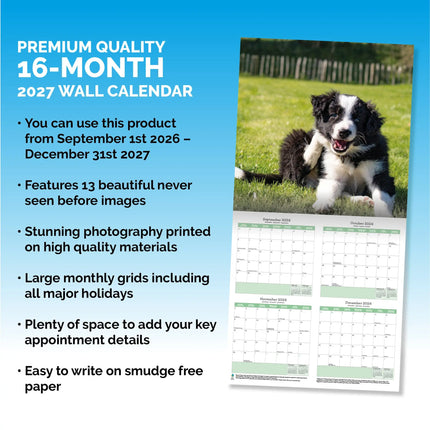 Baker & Bray Border Collie Puppies Kalender 2027