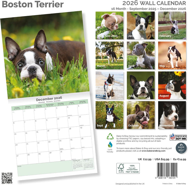 Baker & Bray Boston Terrier Kalender 2026