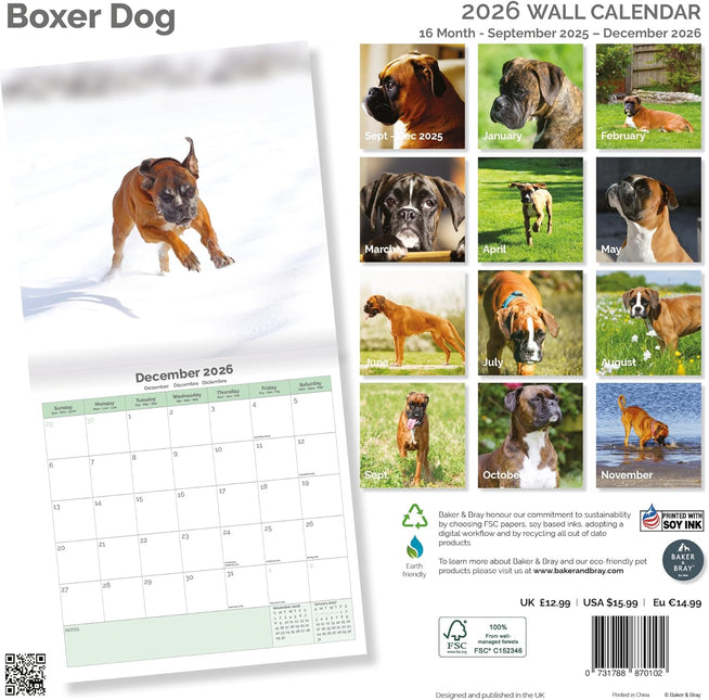 Baker & Bray Boxer Kalender 2026