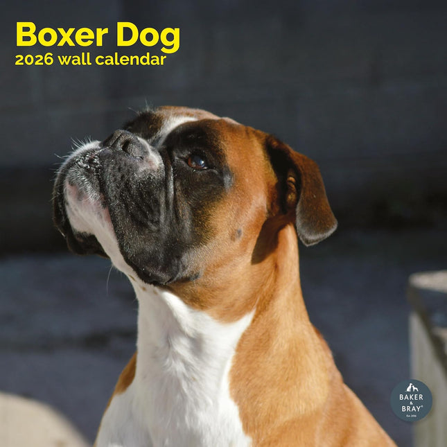Baker & Bray Boxer Kalender 2026
