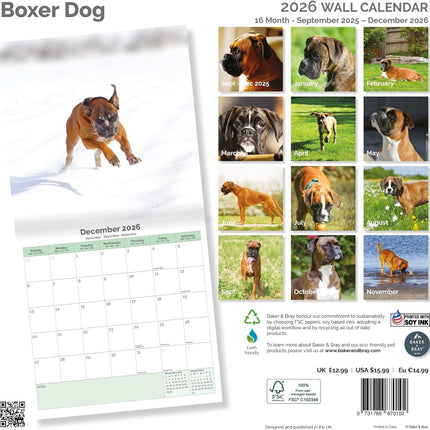 Baker & Bray Boxer Kalender 2027