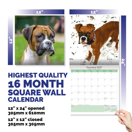Baker & Bray Boxer Kalender 2027