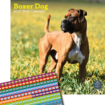 Baker & Bray Boxer Kalender 2027