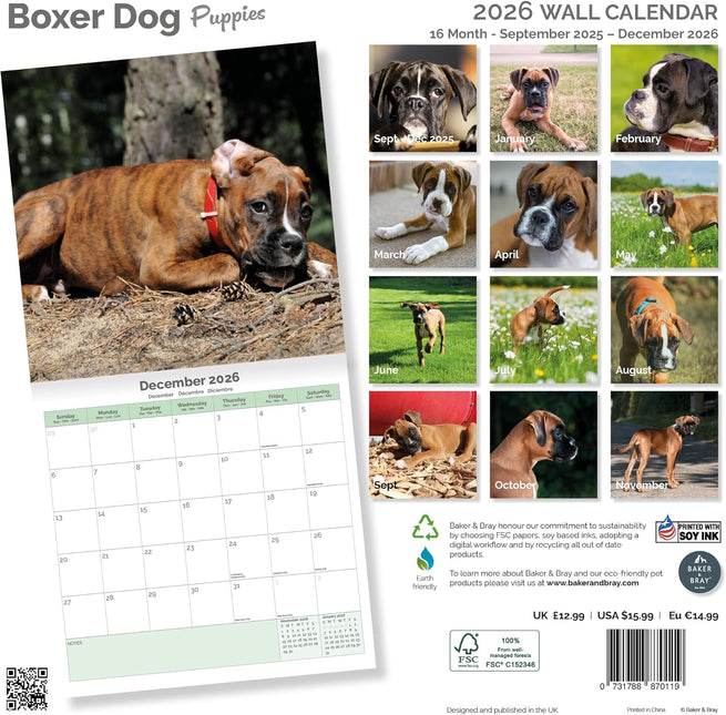Baker & Bray Boxer Puppies Kalender 2026
