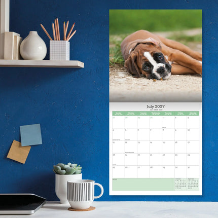 Baker & Bray Boxer Puppies Kalender 2027