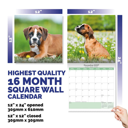 Baker & Bray Boxer Puppies Kalender 2027