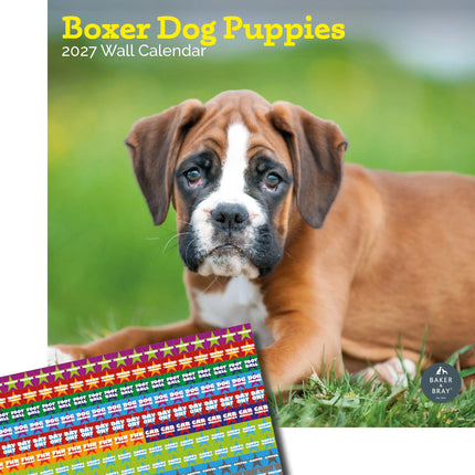 Baker & Bray Boxer Puppies Kalender 2027