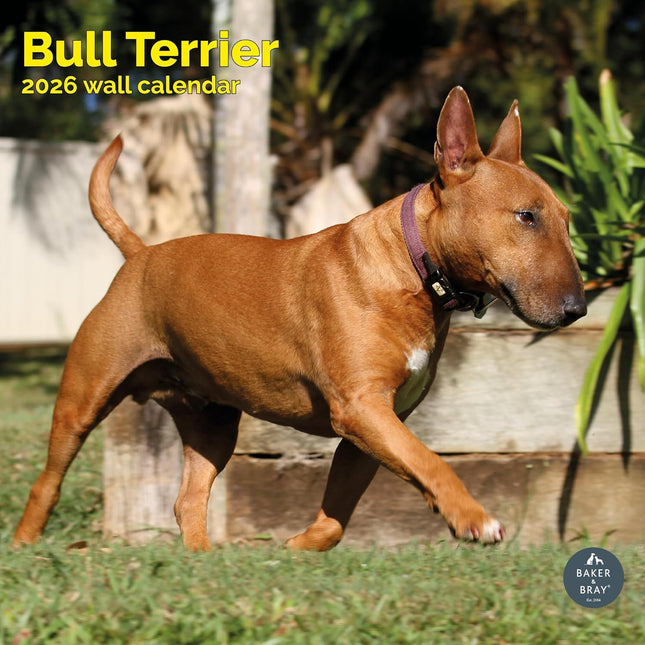 Baker & Bray Bull Terrier Kalender 2026