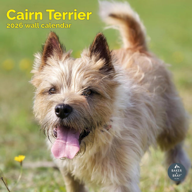 Baker & Bray Cairn Terrier Kalender 2026