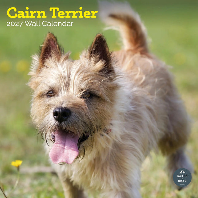 Baker & Bray Cairn Terrier Kalender 2027