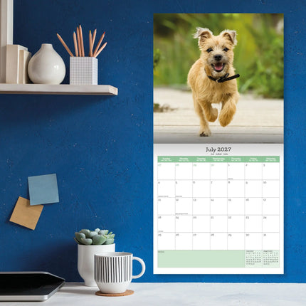 Baker & Bray Cairn Terrier Kalender 2027