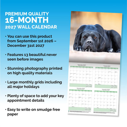 Baker & Bray Cane Corso Kalender 2027
