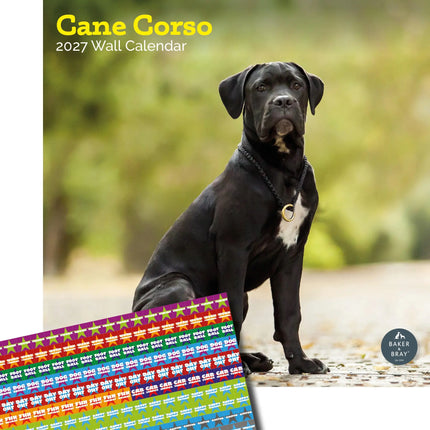 Baker & Bray Cane Corso Kalender 2027