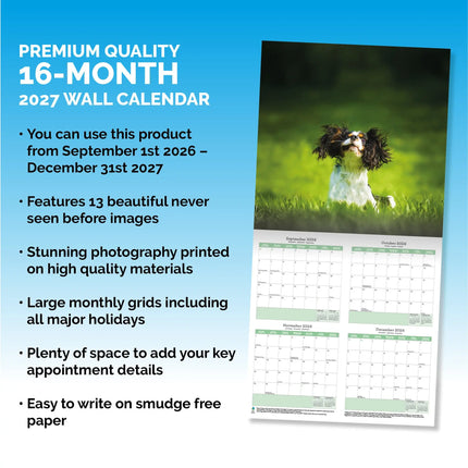Baker & Bray Cavalier King Charles Spaniel Kalender 2027