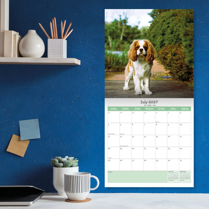 Baker & Bray Cavalier King Charles Spaniel Kalender 2027