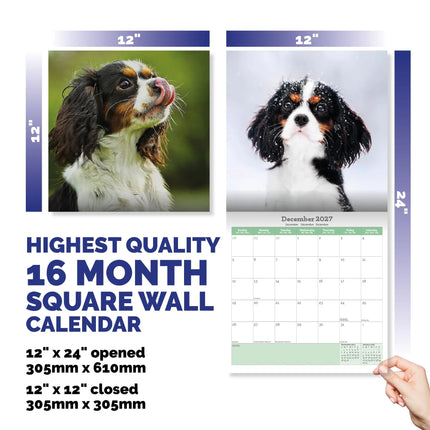 Baker & Bray Cavalier King Charles Spaniel Kalender 2027
