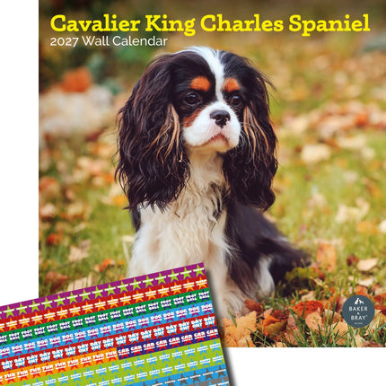 Baker & Bray Cavalier King Charles Spaniel Kalender 2027