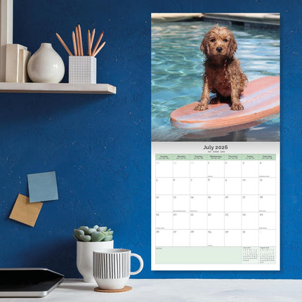 Baker & Bray Cavapoo Kalender 2026
