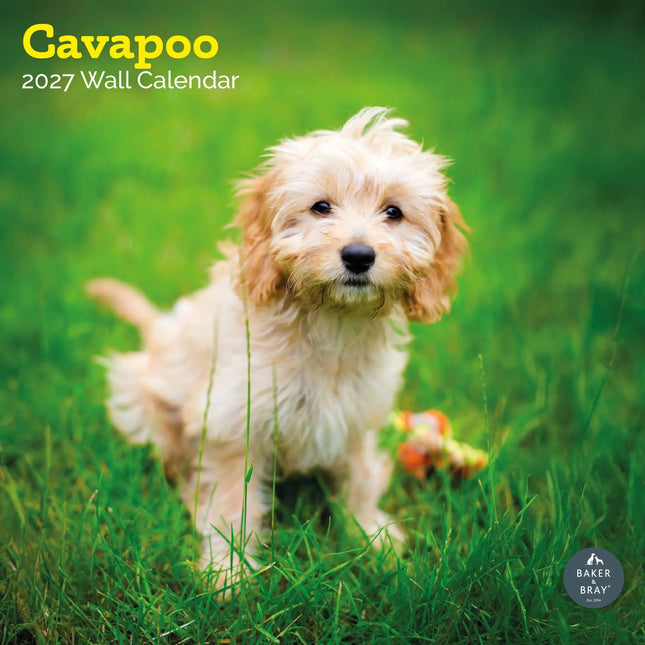 Baker & Bray Cavapoo Kalender 2027