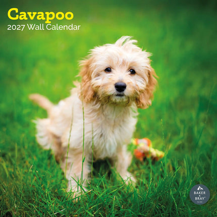 Baker & Bray Cavapoo Kalender 2027
