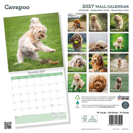 Baker & Bray Cavapoo Kalender 2027