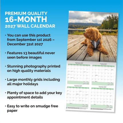 Baker & Bray Cavapoo Kalender 2027