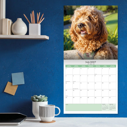 Baker & Bray Cavapoo Kalender 2027