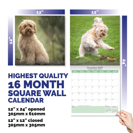 Baker & Bray Cavapoo Kalender 2027