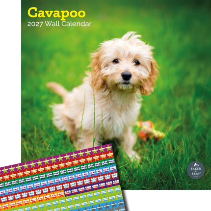 Baker & Bray Cavapoo Kalender 2027