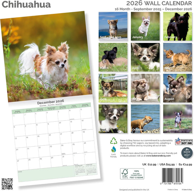Baker & Bray Chihuahua Kalender 2026
