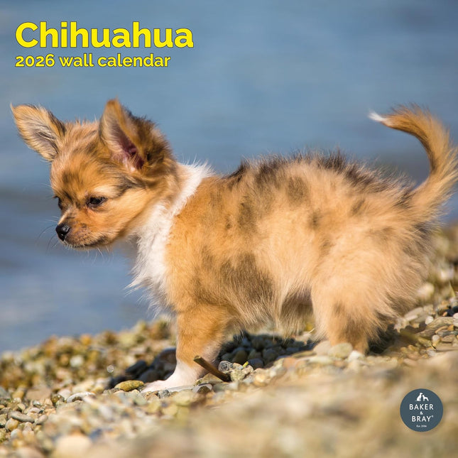 Baker & Bray Chihuahua Kalender 2026