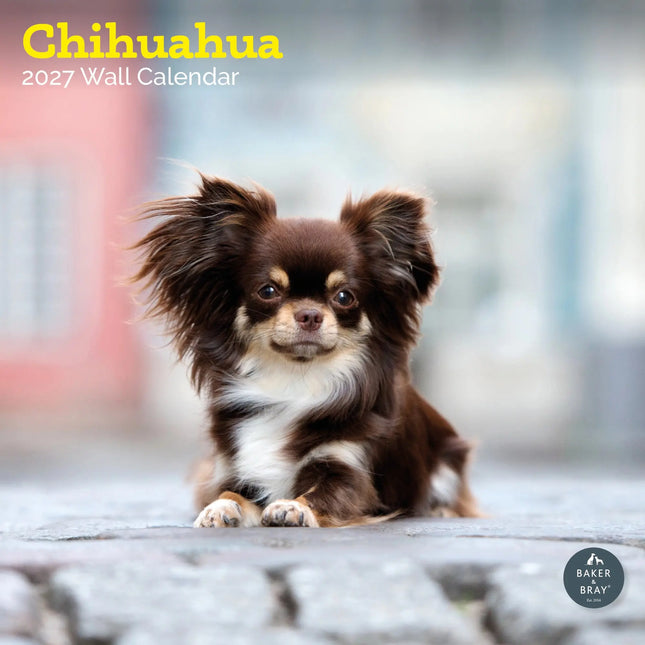 Baker & Bray Chihuahua Kalender 2027