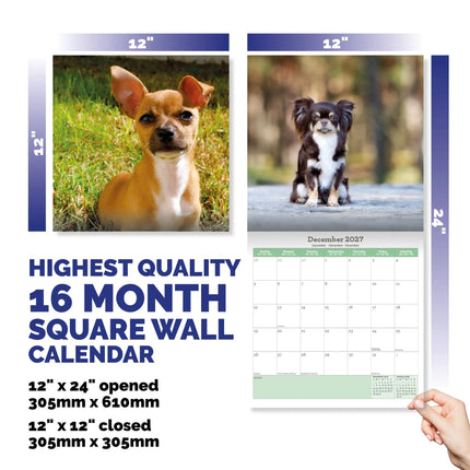 Baker & Bray Chihuahua Kalender 2027