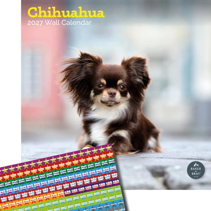 Baker & Bray Chihuahua Kalender 2027