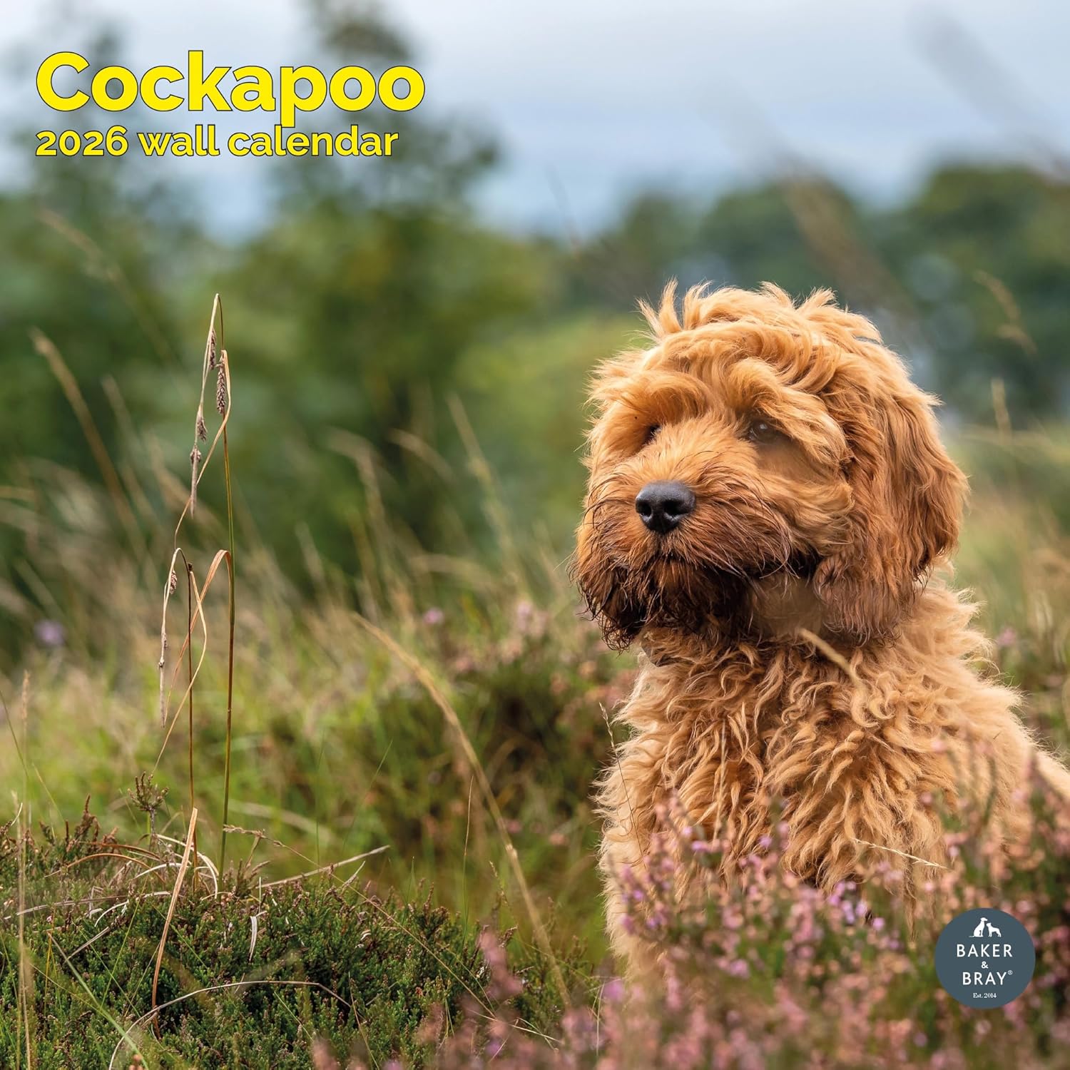 Buy Cockapoo Calendar 2025? Order easily and quickly online.